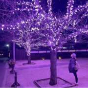 ヒメ日記 2024/12/14 06:07 投稿 いぶき タレントCLUB