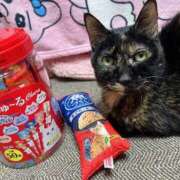 ヒメ日記 2024/12/31 10:17 投稿 いぶき タレントCLUB