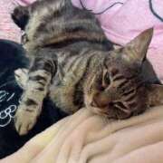 ヒメ日記 2025/01/17 21:13 投稿 いぶき タレントCLUB