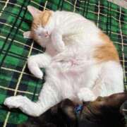 ヒメ日記 2025/03/05 17:18 投稿 いぶき タレントCLUB