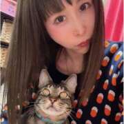 ヒメ日記 2025/03/25 23:46 投稿 いぶき タレントCLUB