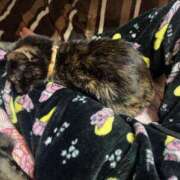 ヒメ日記 2025/05/08 03:50 投稿 いぶき タレントCLUB