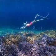 ヒメ日記 2025/07/11 14:49 投稿 いぶき タレントCLUB