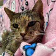 ヒメ日記 2025/08/30 19:18 投稿 いぶき タレントCLUB