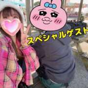 ヒメ日記 2025/11/12 13:39 投稿 いぶき タレントCLUB