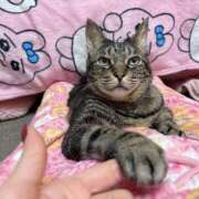 ヒメ日記 2025/11/28 13:40 投稿 いぶき タレントCLUB