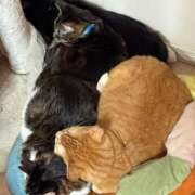 ヒメ日記 2025/12/05 10:12 投稿 いぶき タレントCLUB