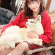 ゆか 写真見学無料 ナイスレディ