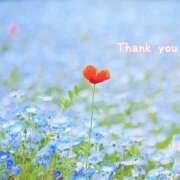 ヒメ日記 2025/04/17 22:36 投稿 ゆう Dream Heaven