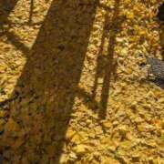 ヒメ日記 2025/12/13 12:32 投稿 るみ Felice(フェリス)