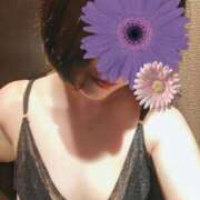 ヒメ日記 2026/05/12 09:37 投稿 るみ Felice(フェリス)