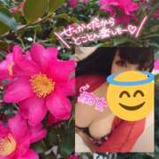 ヒメ日記 2025/02/09 13:19 投稿 あこ 池袋デリヘル倶楽部