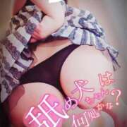 ヒメ日記 2025/04/14 14:01 投稿 あこ 池袋デリヘル倶楽部