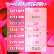 ヒメ日記 2025/12/19 11:49 投稿 あこ 池袋デリヘル倶楽部
