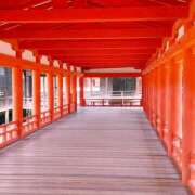 ヒメ日記 2025/03/11 09:52 投稿 名越早苗 五十路マダム　広島店