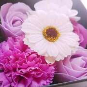 ヒメ日記 2025/04/12 12:12 投稿 名越早苗 五十路マダム　広島店