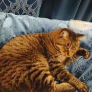 ヒメ日記 2025/05/15 12:10 投稿 名越早苗 五十路マダム　広島店