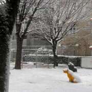 ヒメ日記 2026/02/08 22:00 投稿 名越早苗 五十路マダム　広島店