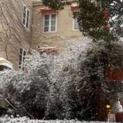 ヒメ日記 2026/02/13 12:54 投稿 名越早苗 五十路マダム　広島店