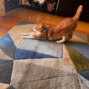 名越早苗 ありがとうございました 五十路マダム　広島店