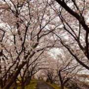 名越早苗 おはようございます 五十路マダム　広島店