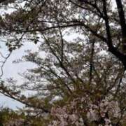 ヒメ日記 2026/04/16 14:14 投稿 名越早苗 五十路マダム　広島店