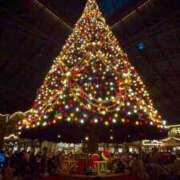 ヒメ日記 2024/12/25 10:15 投稿 川澄 華恋人(カレント)