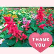 ヒメ日記 2025/07/30 16:00 投稿 ひめか 快楽夫人