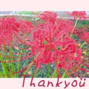 ヒメ日記 2025/09/30 14:28 投稿 ひめか 快楽夫人