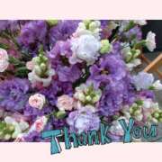 ひめか ★☆１１月度感謝☆★ 快楽夫人