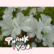 ヒメ日記 2025/12/30 17:49 投稿 ひめか 快楽夫人