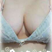 ヒメ日記 2025/04/06 13:01 投稿 はなよ 鶯谷VIPデブ専肉だんご