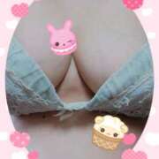 ヒメ日記 2025/04/10 10:35 投稿 はなよ 鶯谷VIPデブ専肉だんご