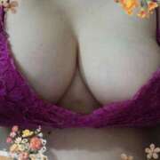 ヒメ日記 2025/04/29 10:21 投稿 はなよ 鶯谷VIPデブ専肉だんご