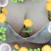 ヒメ日記 2025/05/21 10:11 投稿 はなよ 鶯谷VIPデブ専肉だんご