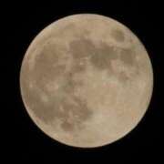 ヒメ日記 2025/11/08 17:15 投稿 ゆりあ リッチドールパート2梅田店