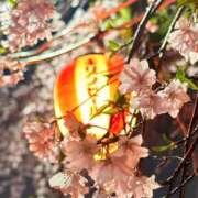 ヒメ日記 2026/04/12 11:35 投稿 ゆりあ リッチドールパート2梅田店