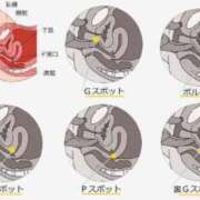 ヒメ日記 2024/04/20 11:45 投稿 真琴 デリヘル東京