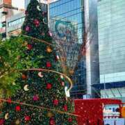 ヒメ日記 2024/12/16 18:31 投稿 真琴 デリヘル東京