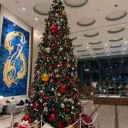 ヒメ日記 2024/12/24 14:08 投稿 真琴 デリヘル東京