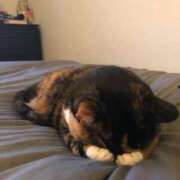 ヒメ日記 2025/01/01 16:15 投稿 真琴 デリヘル東京