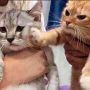 ヒメ日記 2025/01/01 22:30 投稿 真琴 デリヘル東京