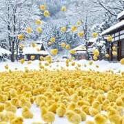 ヒメ日記 2025/03/02 09:15 投稿 真琴 デリヘル東京