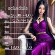 ヒメ日記 2025/03/04 02:15 投稿 真琴 デリヘル東京