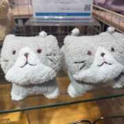 ヒメ日記 2025/03/13 16:15 投稿 真琴 デリヘル東京