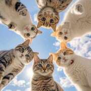 ヒメ日記 2025/03/15 10:16 投稿 真琴 デリヘル東京