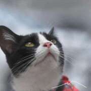 ヒメ日記 2025/06/25 01:52 投稿 真琴 デリヘル東京