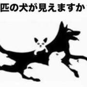 ヒメ日記 2025/06/29 06:53 投稿 真琴 デリヘル東京