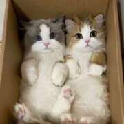 ヒメ日記 2025/10/25 04:48 投稿 真琴 デリヘル東京