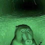 ヒメ日記 2025/12/04 21:31 投稿 真琴 デリヘル東京